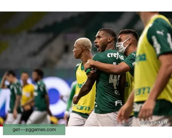 帕尔梅拉斯成功卫冕巴甲冠军展现强大实力继续统治巴西足球